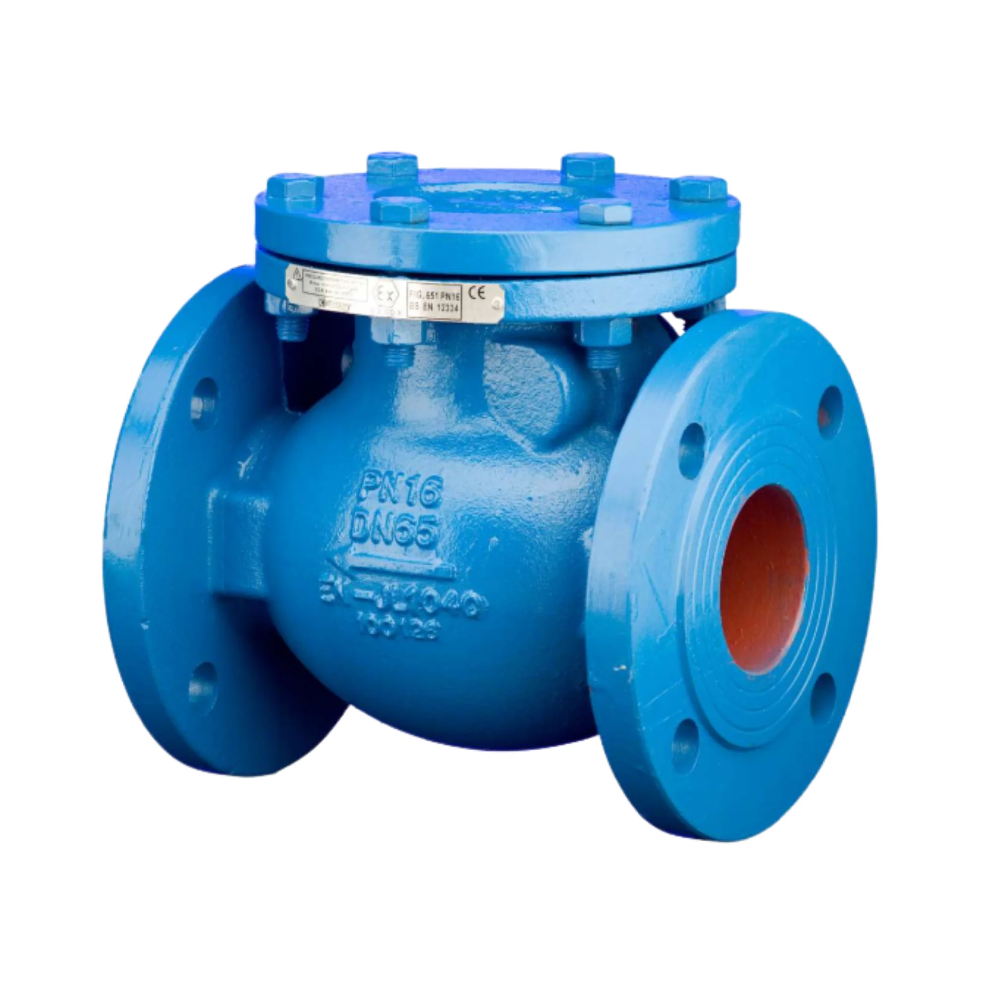Check Valve 651 (Cast Iron)