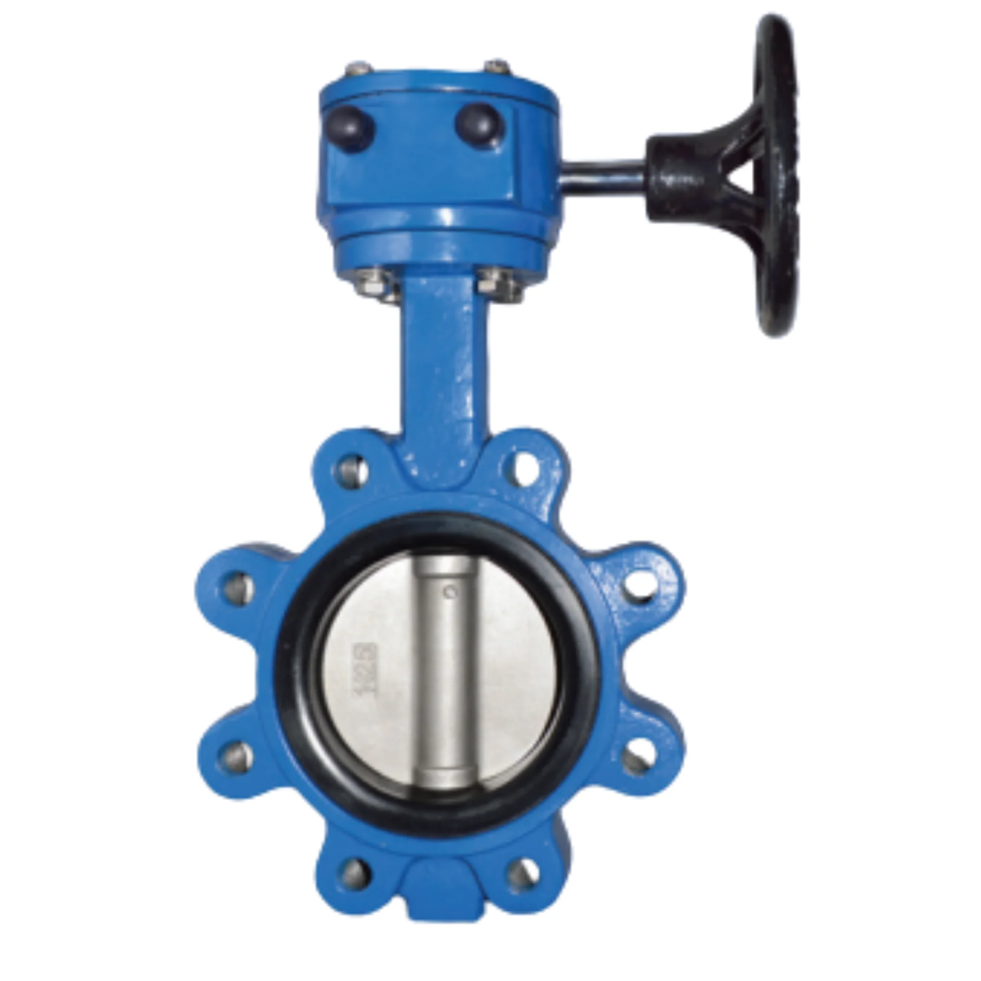 Butterfly Valve 4870MG