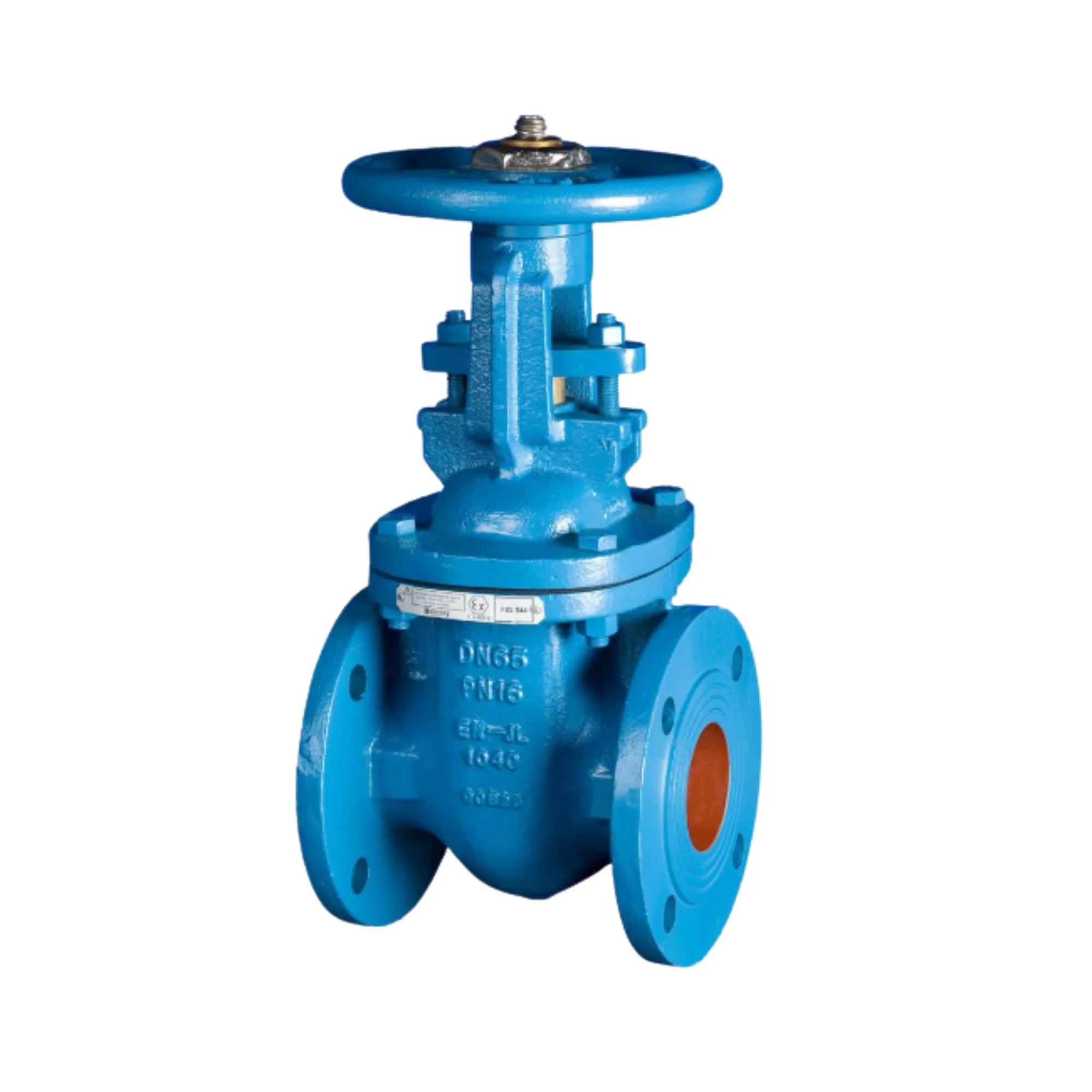 Gate Valve M544-Rising (Cast Iron)