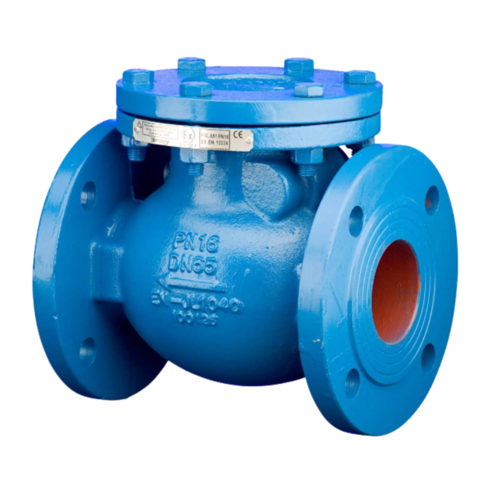 Check Valve 650 (Cast Iron)
